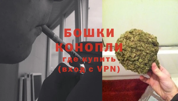 ALPHA PVP Верея