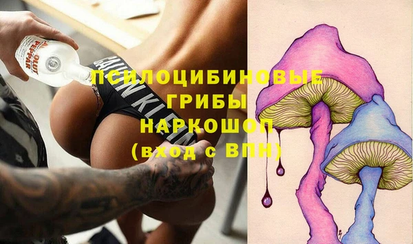 мдпв Бронницы