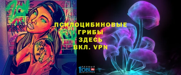 трава Бородино