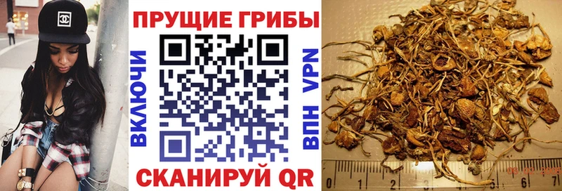 Галлюциногенные грибы MAGIC MUSHROOMS  Славянск-на-Кубани 
