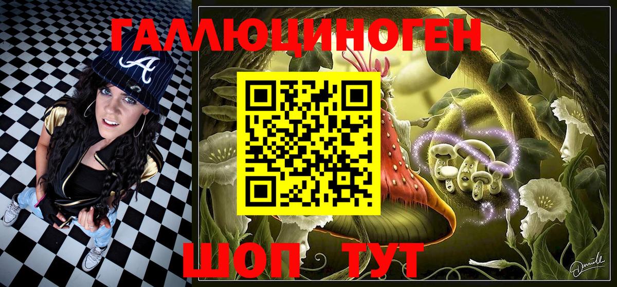 Галлюциногенные грибы Psilocybine cubensis Славянск-на-Кубани