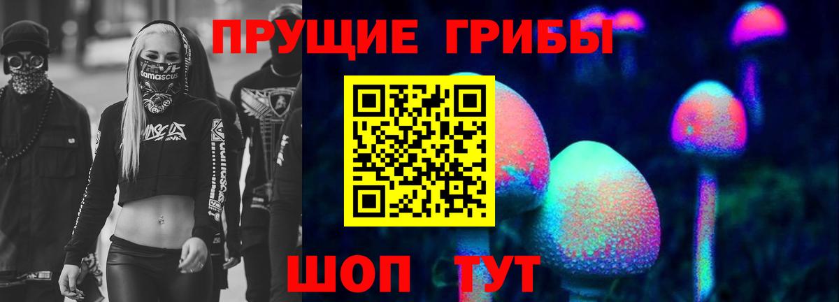 где можно купить   Псилоцибиновые грибы мицелий  Вход с VPN  Славянск-на-Кубани  Галлюциногенные грибы мицелий 